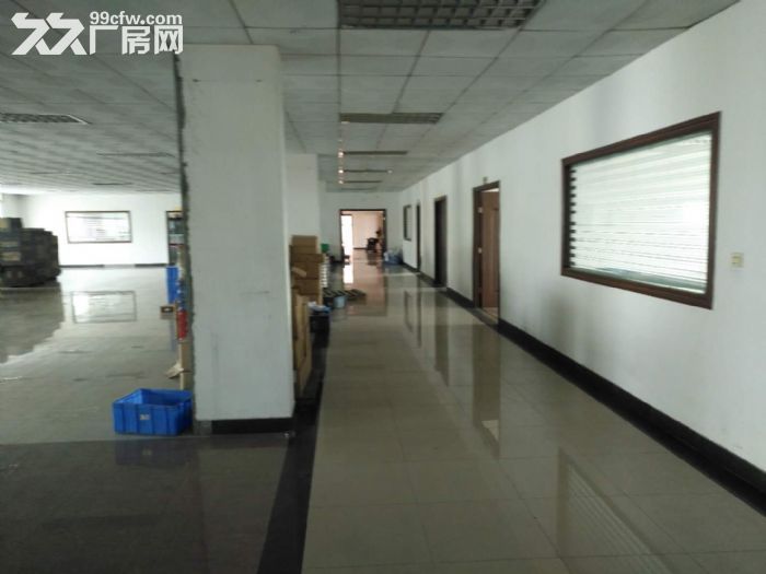 江门蓬江花园独院厂房招租，可分租，1000平方起租-图4