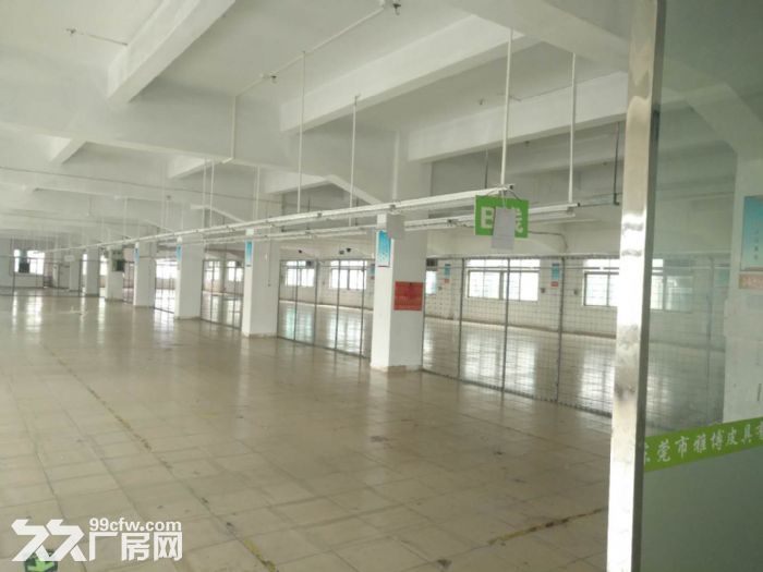 江门蓬江花园独院厂房招租，可分租，1000平方起租-图5