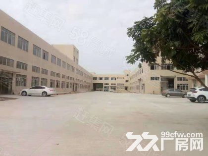 江门台山水步工业新城独院工业园厂房仓库2000平方招租-图3