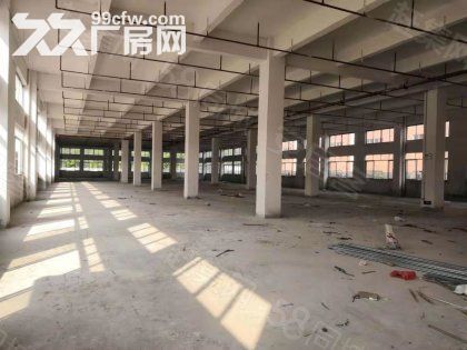 江门台山水步工业新城独院工业园厂房仓库2000平方招租-图5