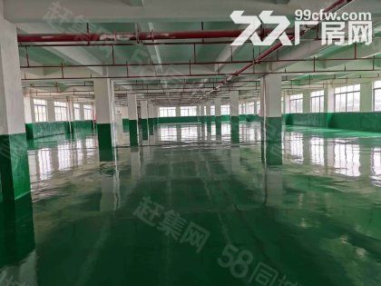 江门台山水步工业新城独院工业园厂房仓库2000平方招租-图7