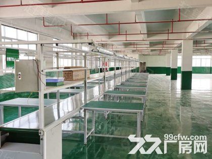 江门台山水步工业新城独院工业园厂房仓库2000平方招租-图8