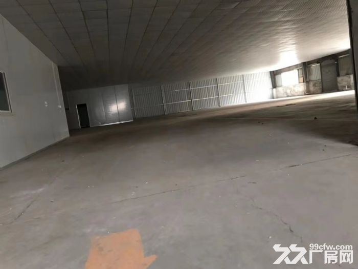 江门荷塘工业区1000平方独立单一层钢构厂房仓库招租-图2