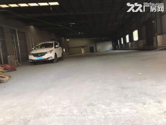 江门荷塘工业区1000平方独立单一层钢构厂房仓库招租-图4