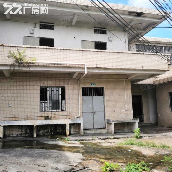 江门蓬江荷塘独院单一层二类地工业厂房仓库1500平方招租-图1