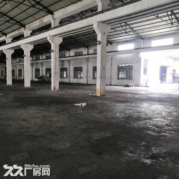 江门蓬江荷塘独院单一层二类地工业厂房仓库1500平方招租-图3