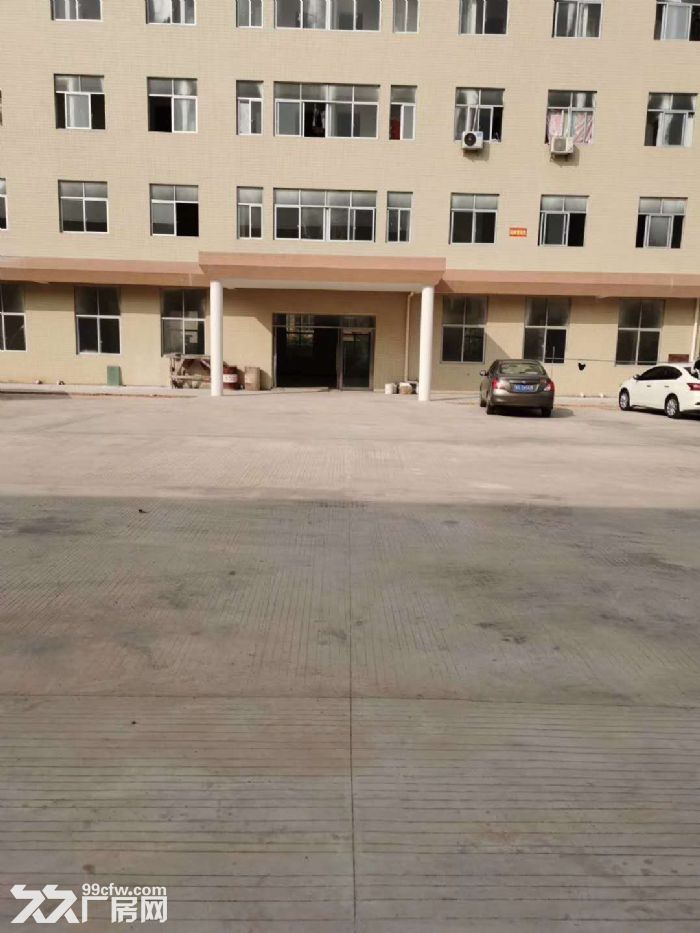 台山工业新城贸易办公型厂房仓库600平方招租-图1