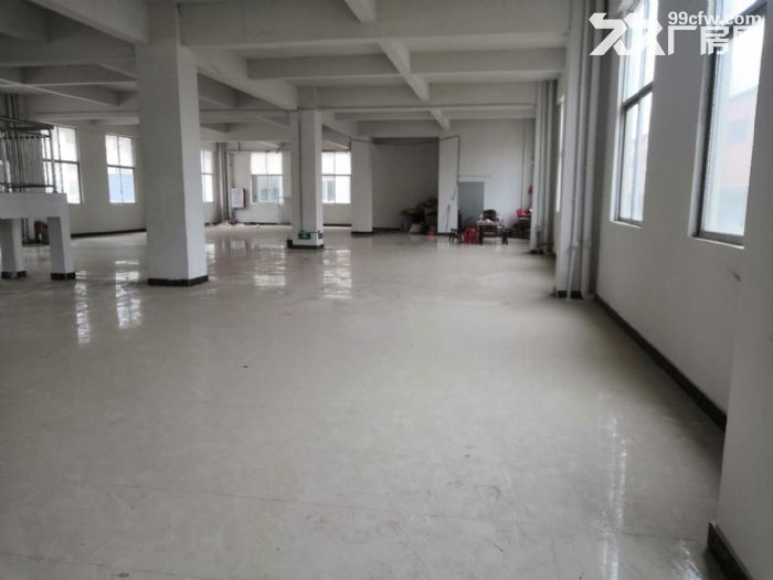 台山工业新城贸易办公型厂房仓库600平方招租-图5
