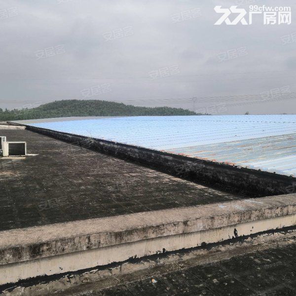 江门开平长沙三类用地工业园厂房仓库出租5000方，可分租-图2