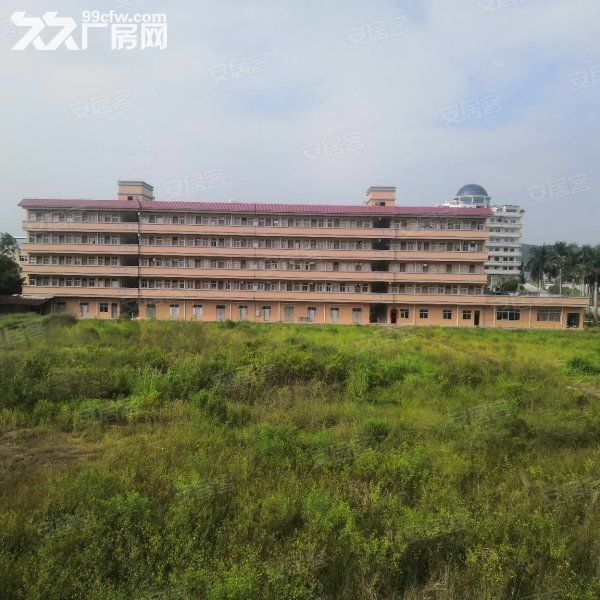 江门开平长沙三类用地工业园厂房仓库出租5000方，可分租-图7