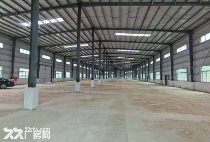 江门台山四九长龙独院单一层厂房仓库3000平方招租-图5