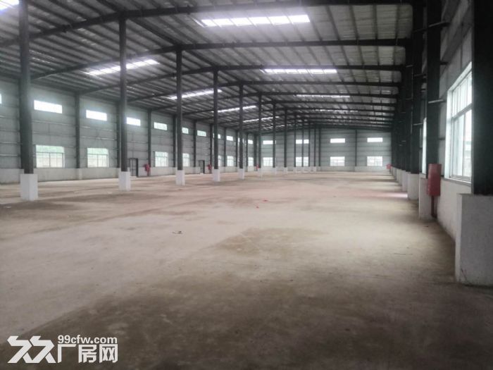 江门台山四九长龙独院单一层厂房仓库3000平方招租-图3