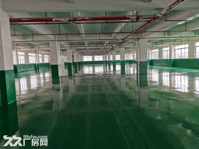蓬江荷塘形像好电梯厂房1500方出租-图1