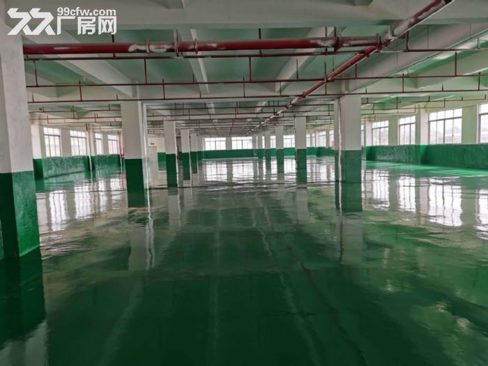蓬江荷塘形像好电梯厂房1500方出租-图2