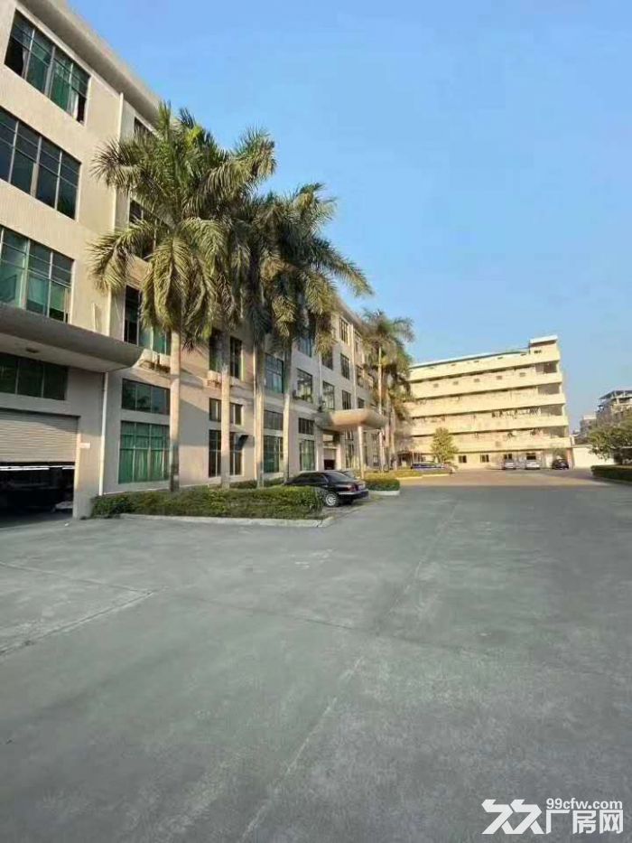江门台山工业新城形像好地段佳工业园厂房1500平方招租-图6