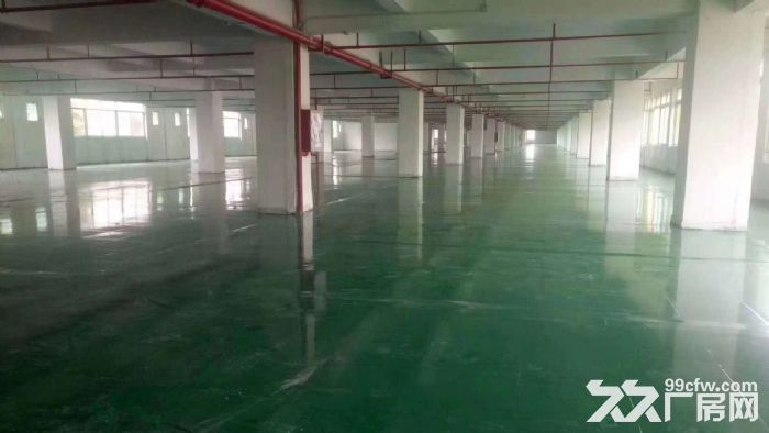 江门台山工业新城形像好地段佳工业园厂房1500平方招租-图5