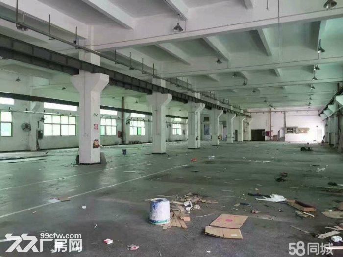 大田洋一楼1500平米高度5米台湾厂转租-图1