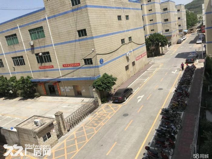 大田洋一楼1500平米高度5米台湾厂转租-图4