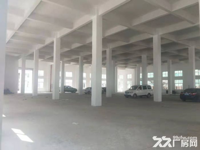 鹤山雅瑶镇朝阳工业区全新招租-图4