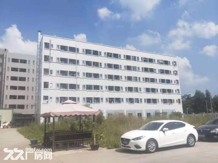 鹤山雅瑶镇朝阳工业区全新招租-图3