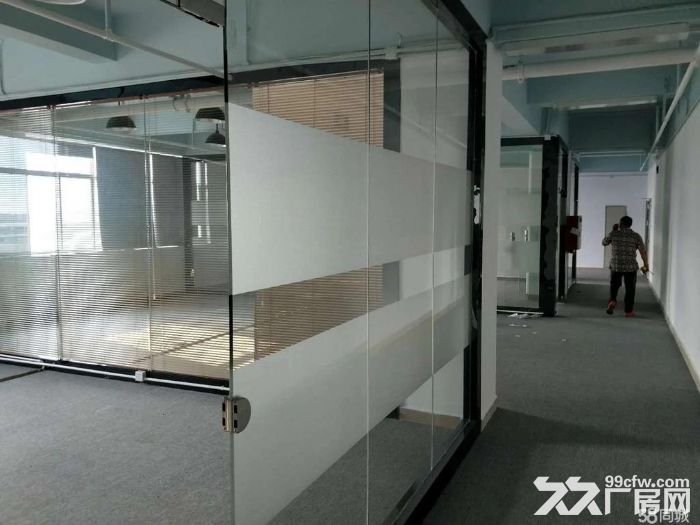 石岩机荷龙大双高速附近，整层1200平，精装修厂房-图3