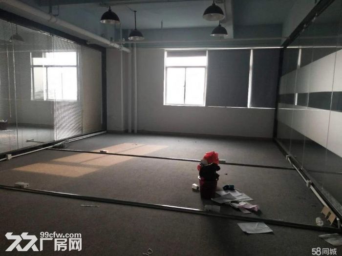 石岩机荷龙大双高速附近，整层1200平，精装修厂房-图5