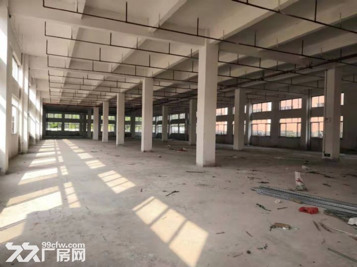 台山工业新城二次消防喷淋独院标准厂房2000平方招租-图3