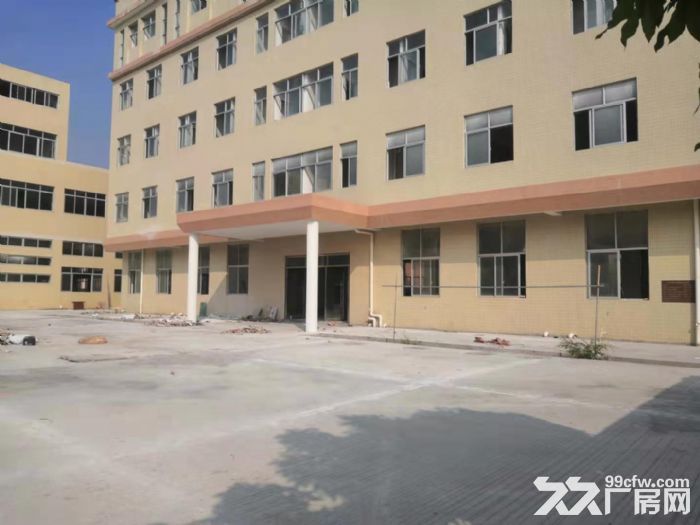 台山工业新城二次消防喷淋独院标准厂房2000平方招租-图2
