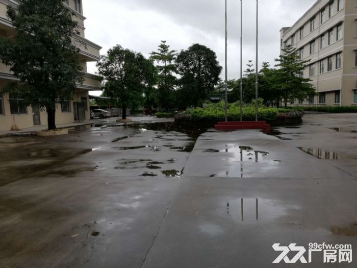 江门潮连首层2000平方厂房出租，形像好-图2