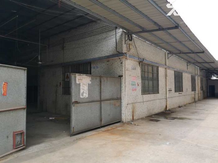 蓬江荷塘马滘桥独立单一层厂房600平方招租-图3