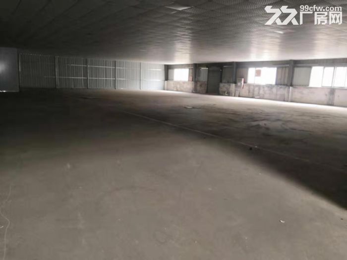 台山台城有排污指标现成装修工业厂房2500平方出租-图4