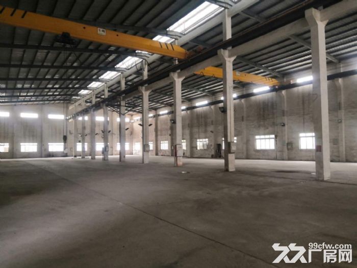 江门新会大泽工业区有排污指标环评厂房2500平方招租-图5