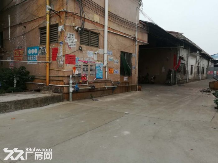 蓬江荷塘南格工业区独院厂房900宿舍200平方招租-图3