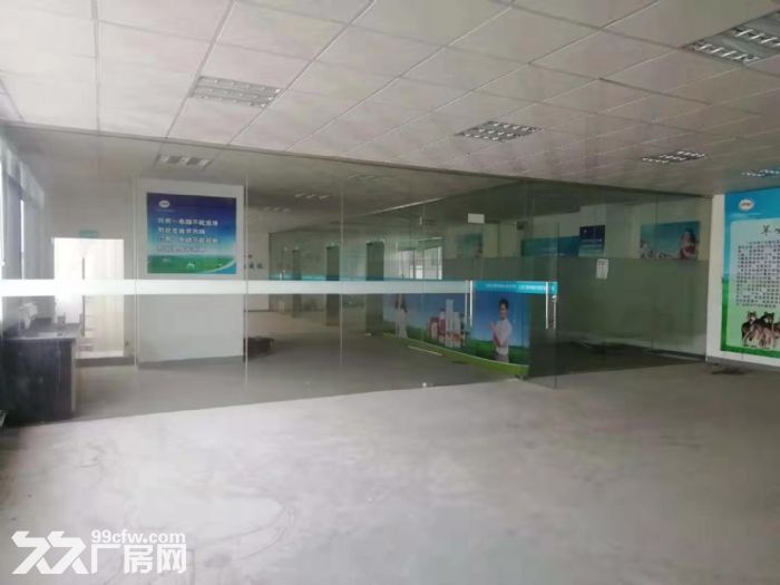 台山工业新城标准厂房3000平方招租-图3