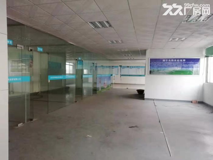 台山工业新城标准厂房3000平方招租-图4