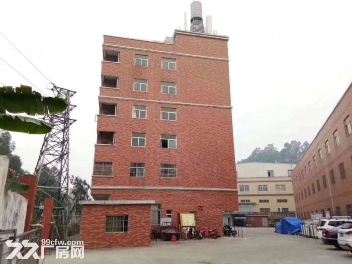 蓬江区独院6000平方厂房宿舍1500平方出租-图1