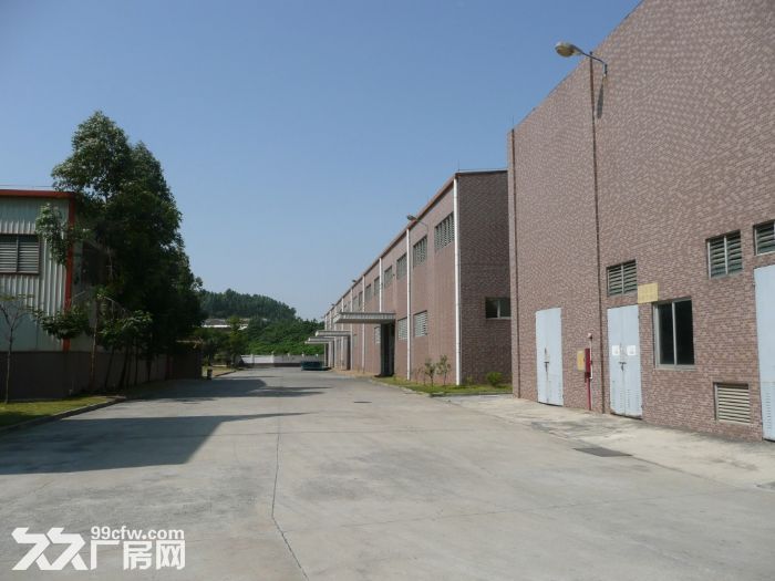 江门蓬江杜远单一层3500平方厂房出租，价格优惠-图1