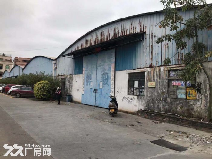 （可分租）礼乐街道新华村 单一层独门独院1980平方简易厂房-图5