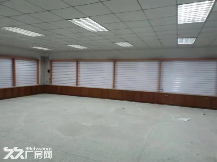江门台山五金电子厂房3000平方出租，可分租-图4