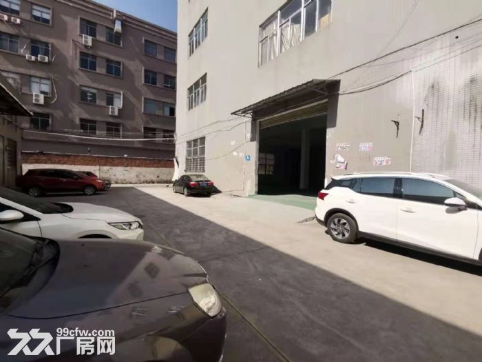 高新区彩虹路，标准厂房一楼750平方-图3