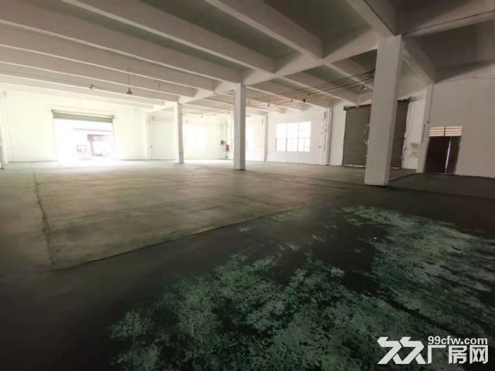 高新区彩虹路，标准厂房一楼750平方-图4