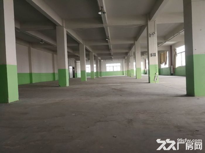 台山工业区标准厂房一楼3800平方现成装修厂房出租-图3