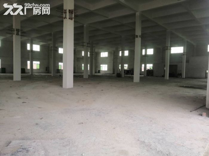 开平市水口月山独院标准8米高带牛角厂房3000平方招租-图4