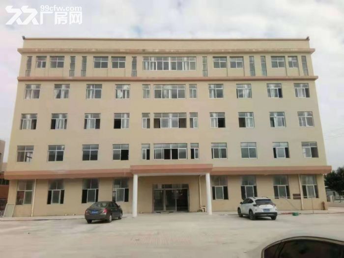 台山水步独院工业园贸易办公型厂房仓库600平方招租-图1