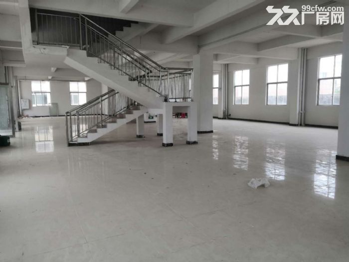 台山水步独院工业园贸易办公型厂房仓库600平方招租-图5