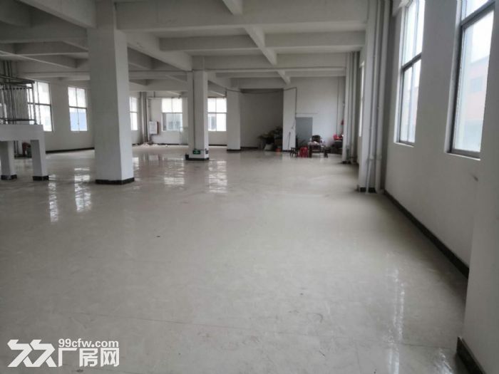 台山水步独院工业园贸易办公型厂房仓库600平方招租-图4