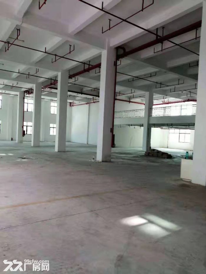 江门蓬江荷塘独院厂房仓库1000平方出租，标准厂房-图2