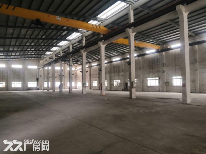江门蓬江荷塘镇中心附近独院单一层厂房仓库2000平方招租-图2