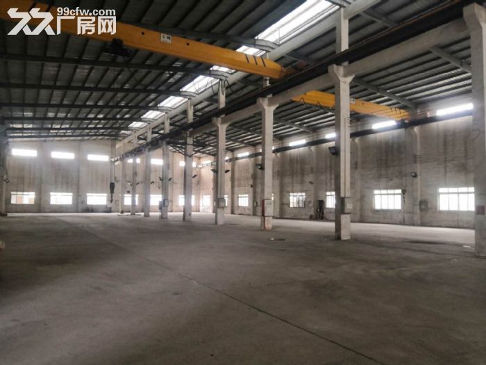 江门蓬江荷塘镇中心附近独院单一层厂房仓库2000平方招租-图3