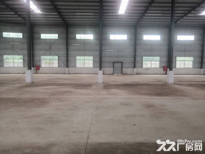 江门蓬江荷塘镇中心附近独院单一层厂房仓库2000平方招租-图5